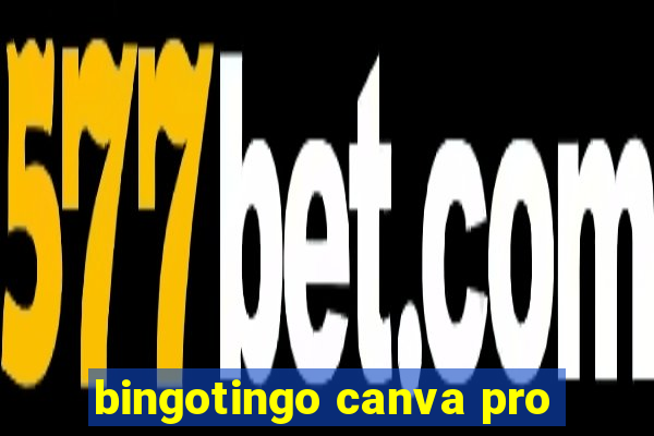 bingotingo canva pro